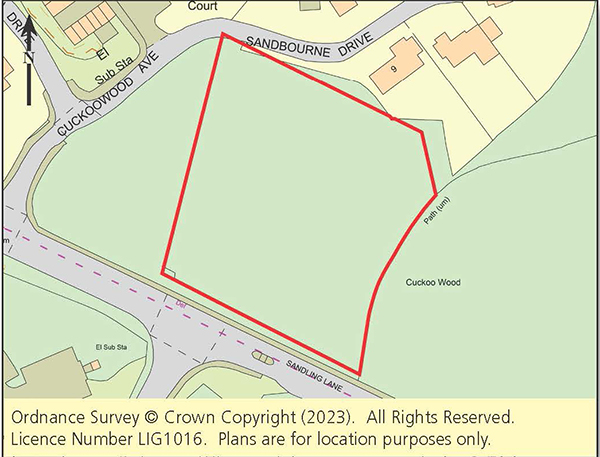 Lot: 123 - FREEHOLD WOODLAND -